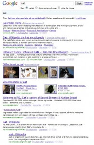 Cat_Google