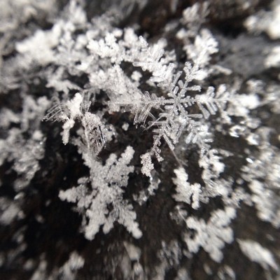 Snowflakes ❄️#bw #fmsphotoaday #winter #snow